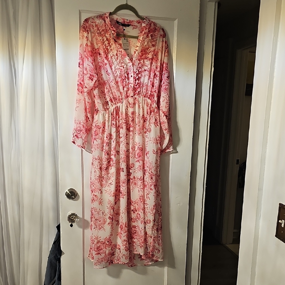 Zara Pink Floral Maxi Dress